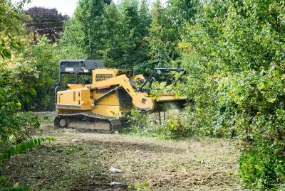 Building Site Clearing in Cumming, GA