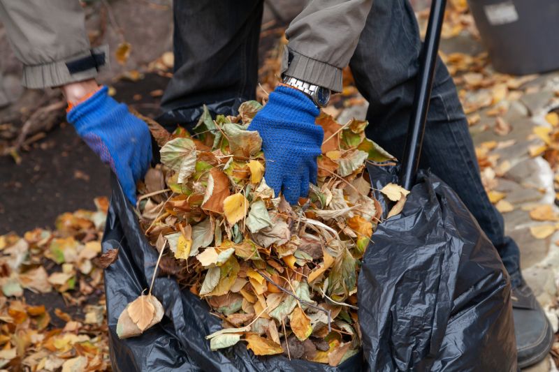 Leaf Collection in Bins