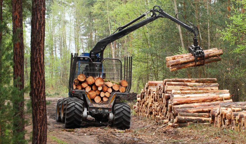 Wood Log Disposal Equipment